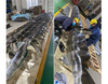 Screw Conveying System For Mixer And Extruder